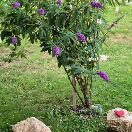 Vikendica Pool And Relax Semizovac